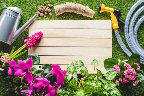 Understanding Drip Irrigation: A Practical Guide